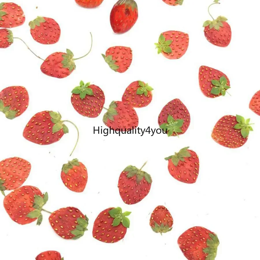 Body Jewelry Display Case - 10pcs Dried Pressed Mini Fruit Strawberry