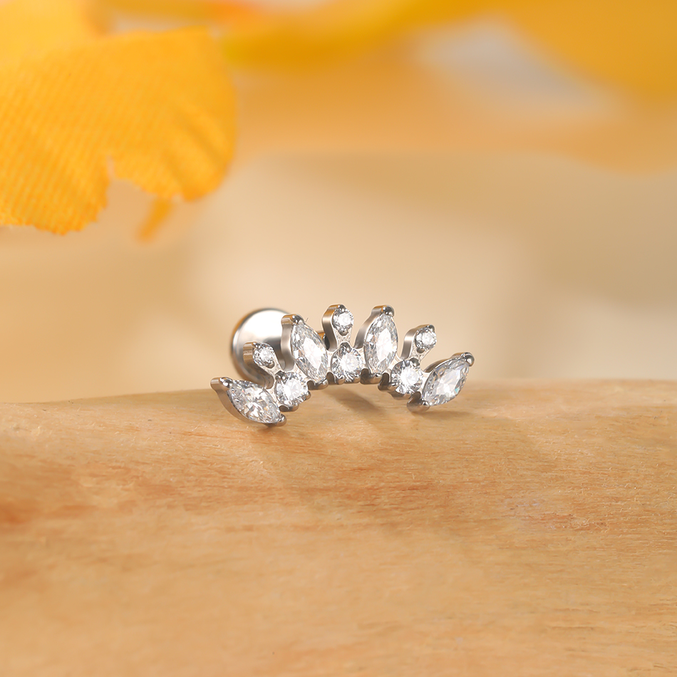 1PC Titanium Zirconia Dolphin  - مراجعة Body Jewelry Internally Threaded وسعره