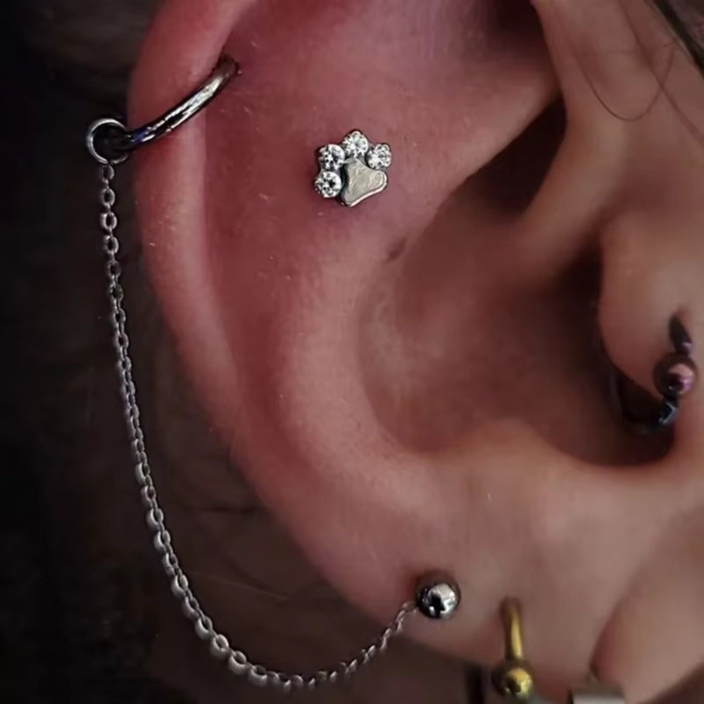 Fashion Titanium Nose Chain Th - مراجعة Body Jewelry And Piercing وسعره