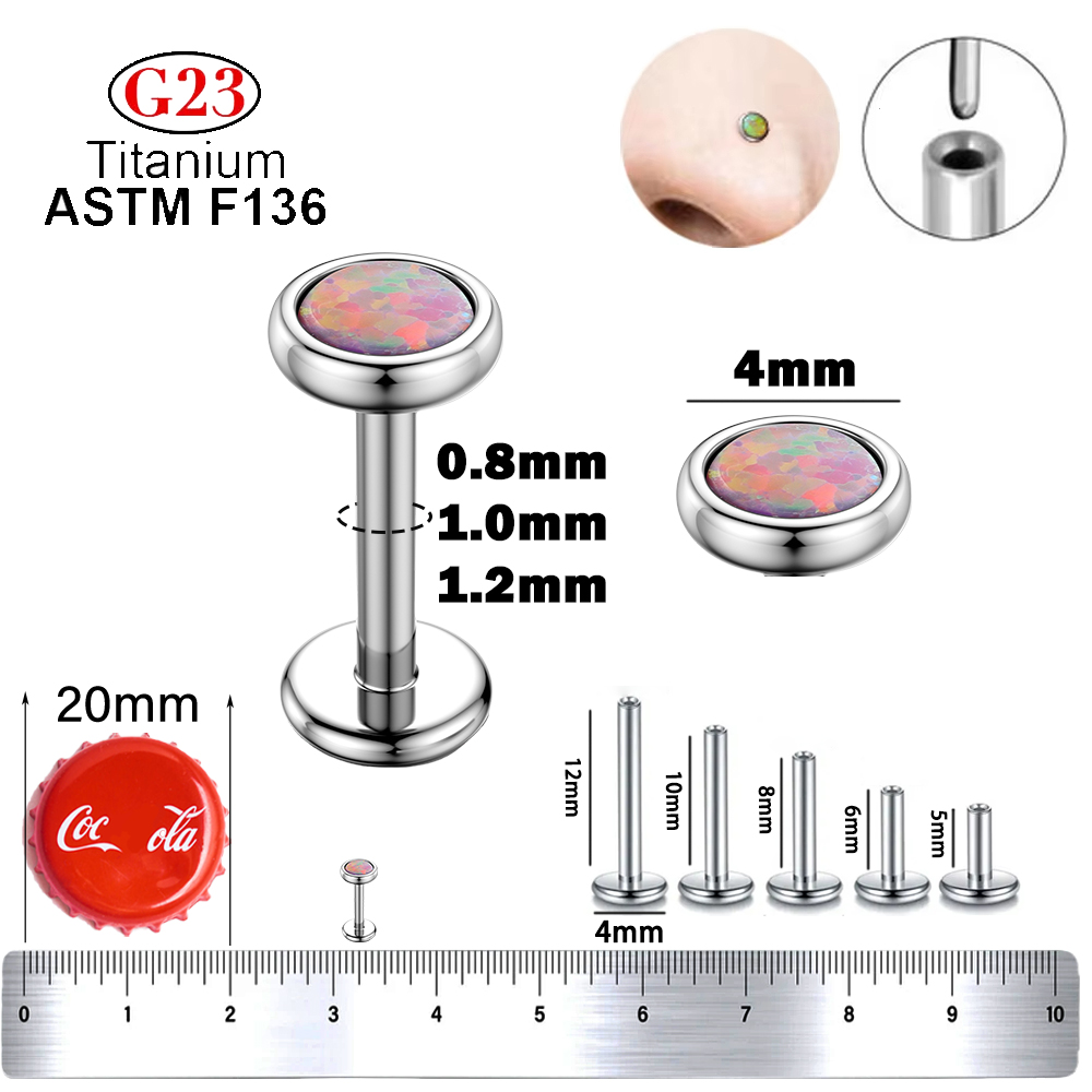 1pcs G23 Titanium Nose Labret  - مراجعة Body Jewelry Threadless وسعره