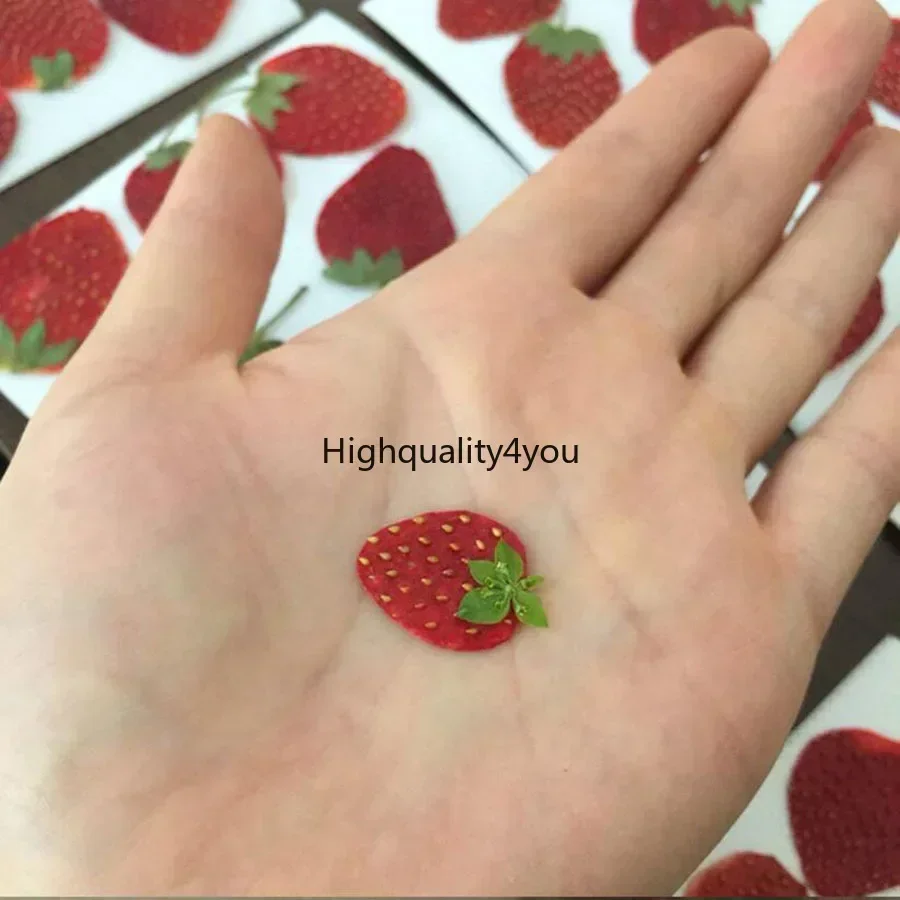 10pcs Dried Pressed Mini Fruit - مراجعة Body Jewelry Display Case وسعره